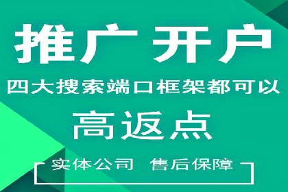 关键词竞价排名策略案例分析